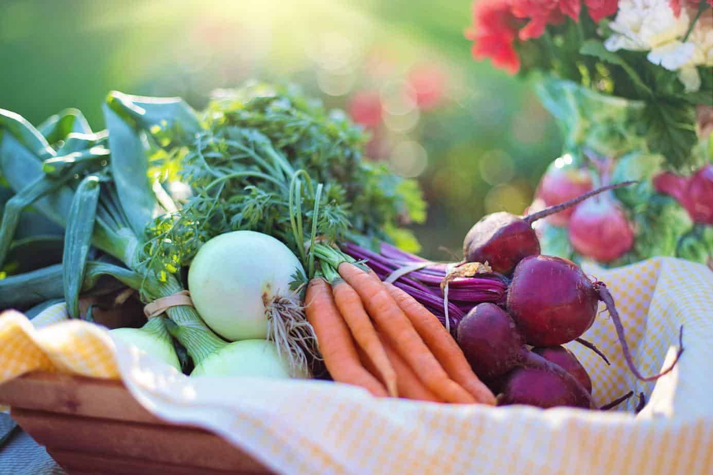 Vegetables assembled in a basket - Kitchen Garden - Creative Ways to Make Money