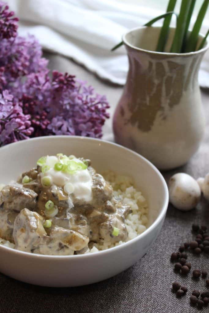 beef stroganoff in a bowl - cheap keto recipes