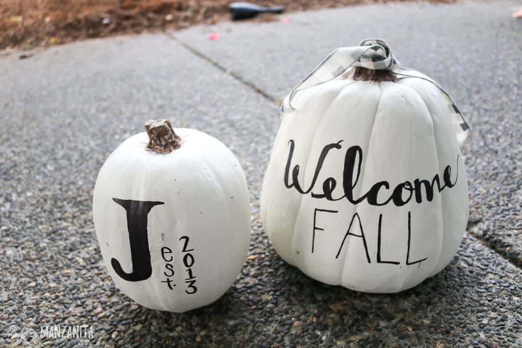 DIY Fall Decor Projects - White Pumpkin Decor