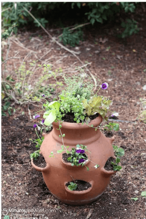 miniature edible garden - diy gifts for mothers day