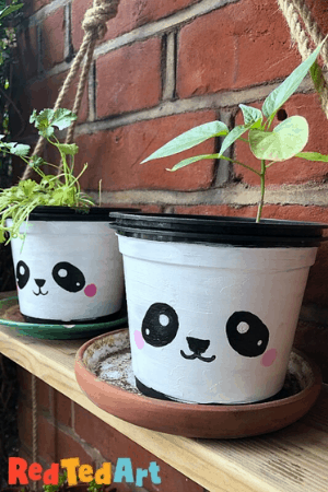 painted plastic pots