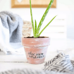 personalized plant pot - mothers day gifts diy