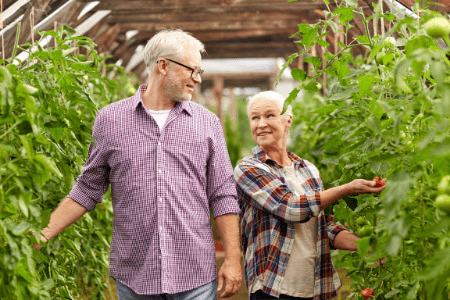 low stress jobs for retirees - man and woman picking tomatoes