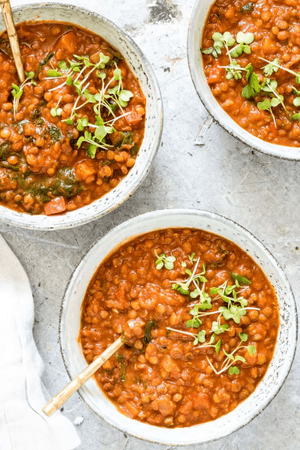 cheap crockpot recipes - lentil curry