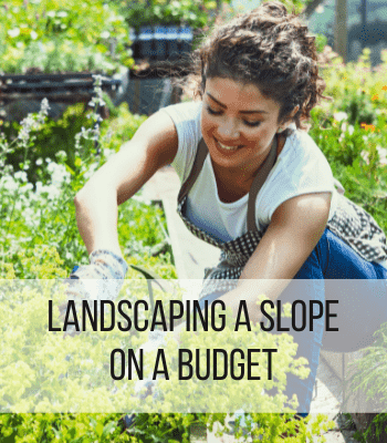 landscaping a slope on a budget feature
