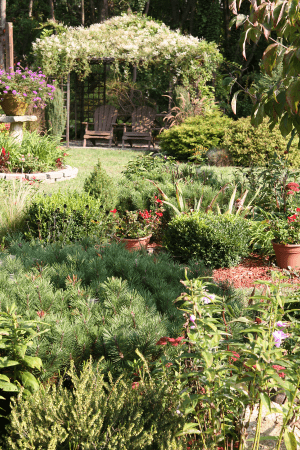 backyard shaded area with seating - hillside garden