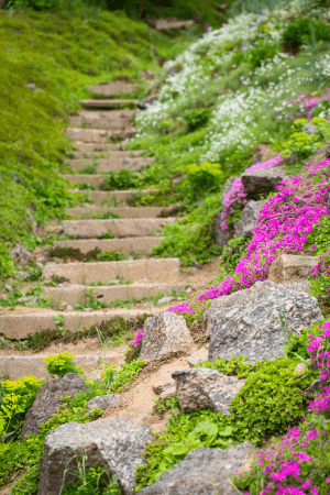 concrete stairs on sloped garden