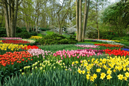 hillside flower trail