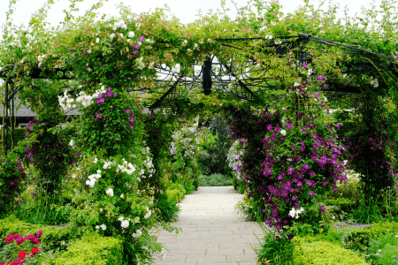 landscaped slope on a budget with flowery trellis