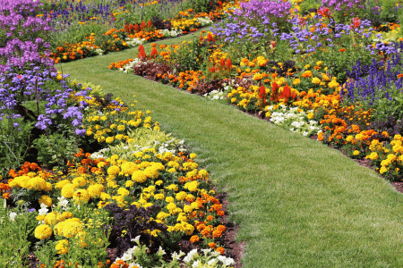 landscaping a slope on a budget flower garden