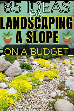 landscaping a slope on a budget pin