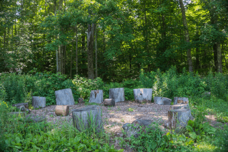 log seating for gardening on a hill