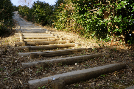 log stairway hillside landscaping ideas on a budget