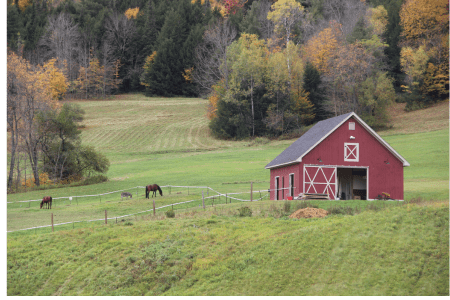 low maintenance hillside landscaping with barn