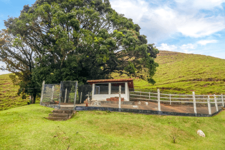 low maintenance hillside landscaping with hen house