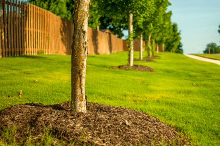 low maintenance hillside landscaping with mulch