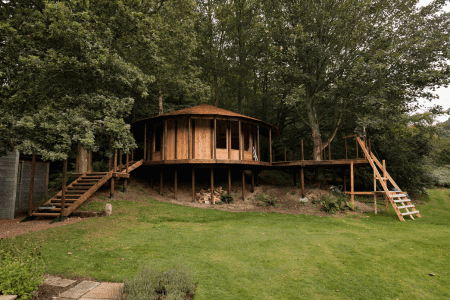 low maintenance hillside landscaping with treehouse