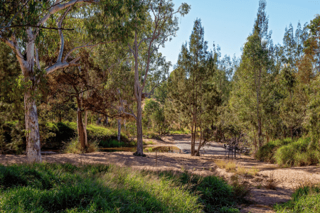 low maintenance hillside landscaping with wild grass