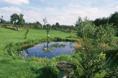 low maintenance pond on hillside garden