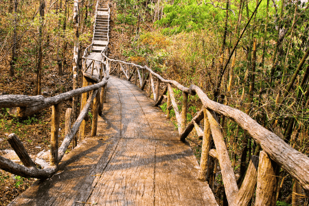 natural lumber stairway landscaping on a budget