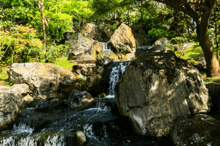 natural rock garden