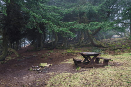 picnic bench on hillside landscaping