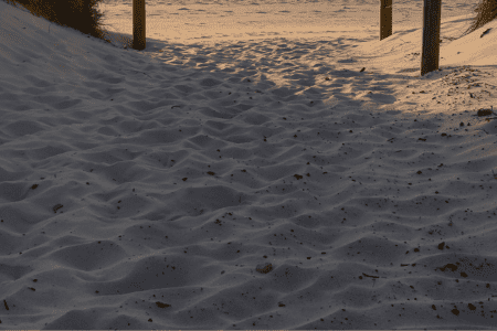 sandy slope landscaping - manmade beach