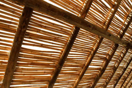 steep hillside landscaping with bamboo roof deck