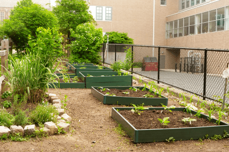 stepped grow boxes for cheap landscaping ideas