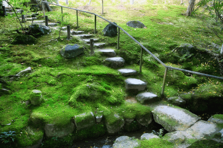 stepping stones landscaping a slope on a budget