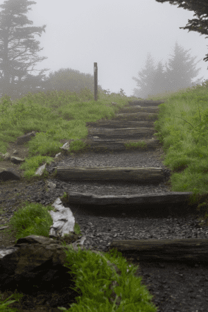 tiered walkway on a budget