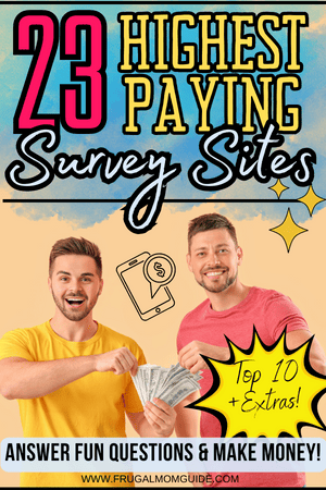 23 Highest Paying Survey Sites pin