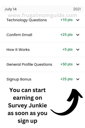 screenshot of ways to make money with surveys on Survey Junkie