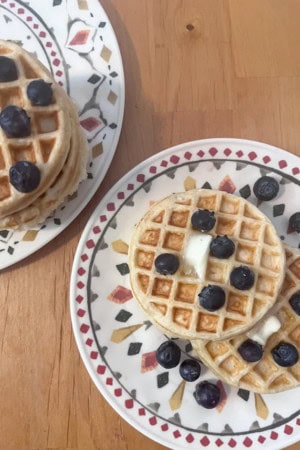 dirt cheap meals - egg free waffles