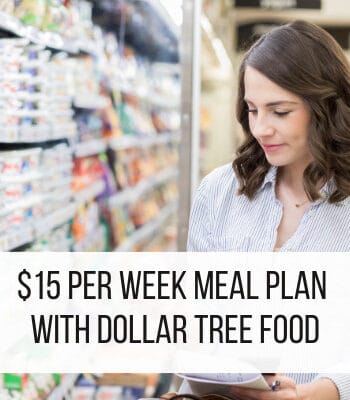 meal plan with dollar tree food - featured image