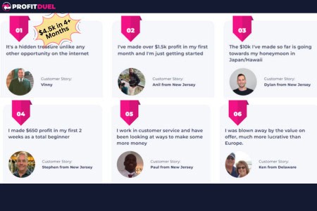 people that made money with profitduel