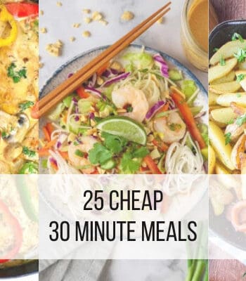 30 minute meals feature image