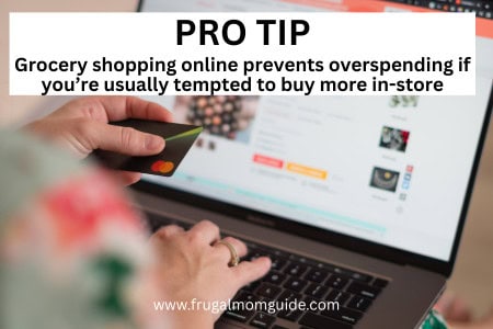 woman grocery shopping online