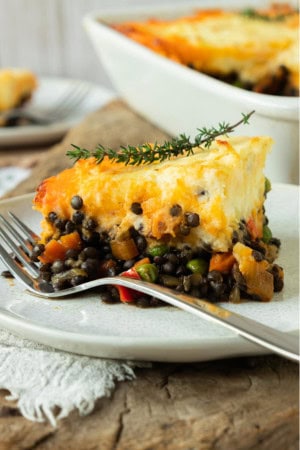 shepherd's pie