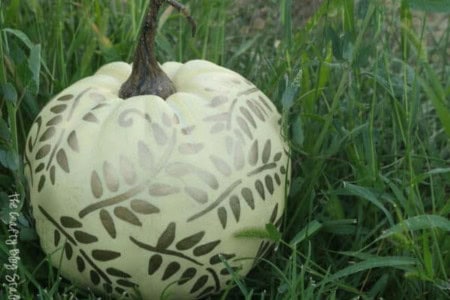 fall crafts for adults - painted pumpkins