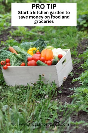 cheap Walmart meal plan pro tip - start a kitchen garden