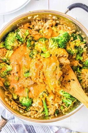 cheesy chicken broccoli rice