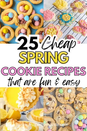 spring cookies recipes- pin