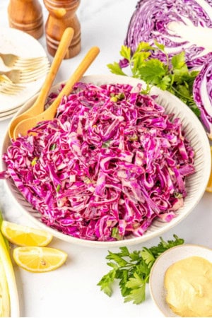 red cabbage slaw